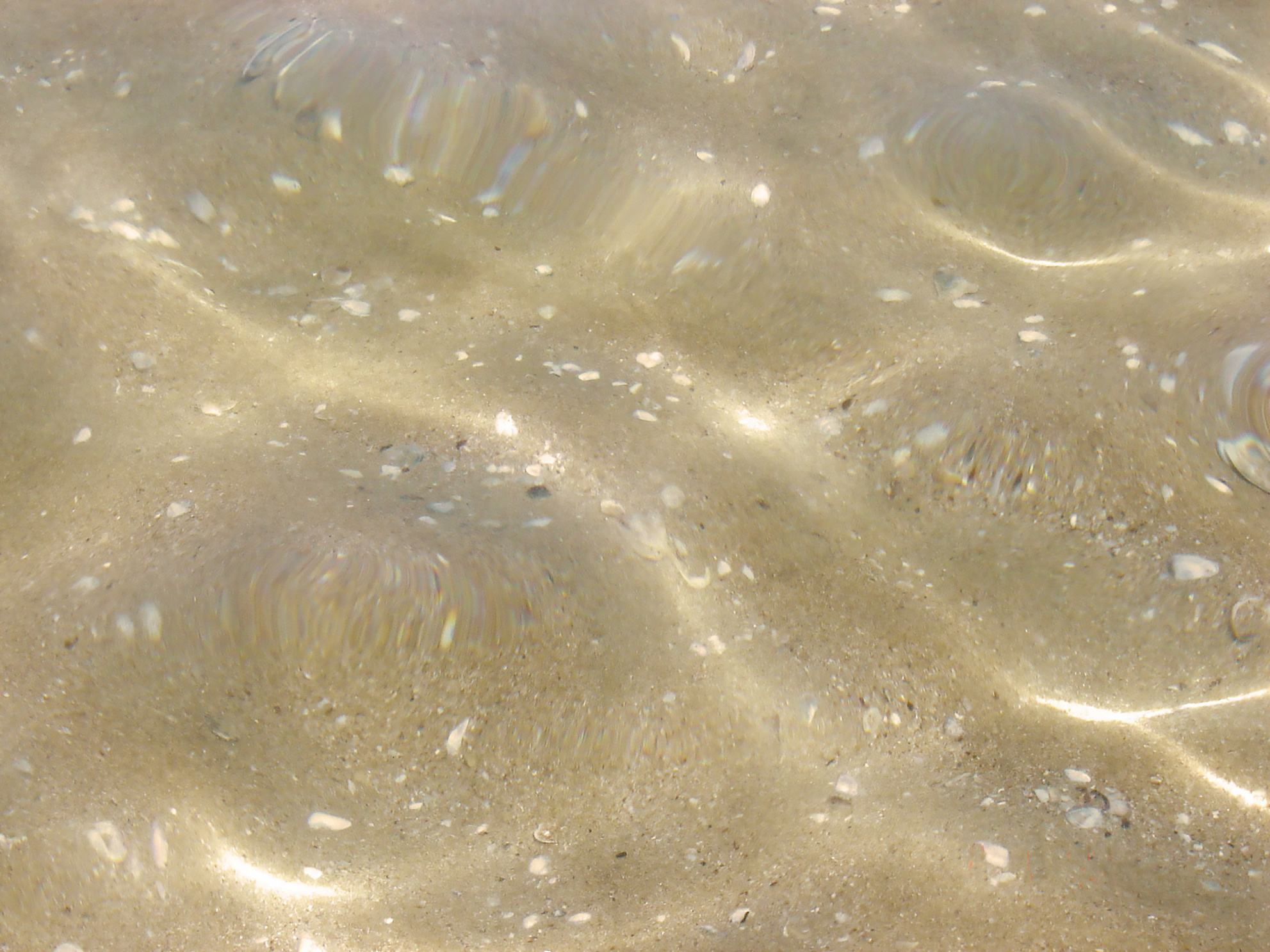Golden sands